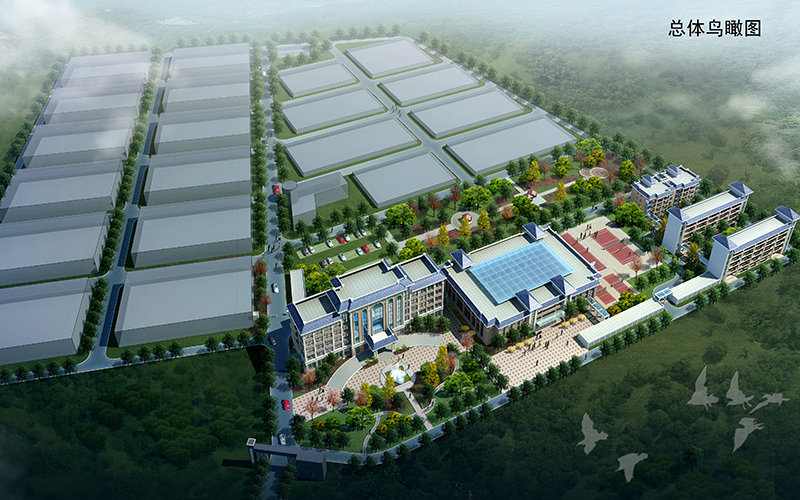 市政道路工程監理工作舉措，都可以從哪些層面分析